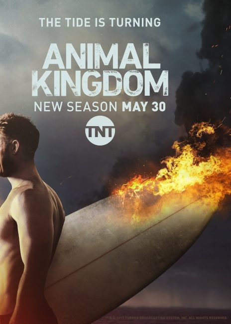 مشاهدة مسلسل Animal Kingdom الموسم الثاني الحلقة 8 مترجمة