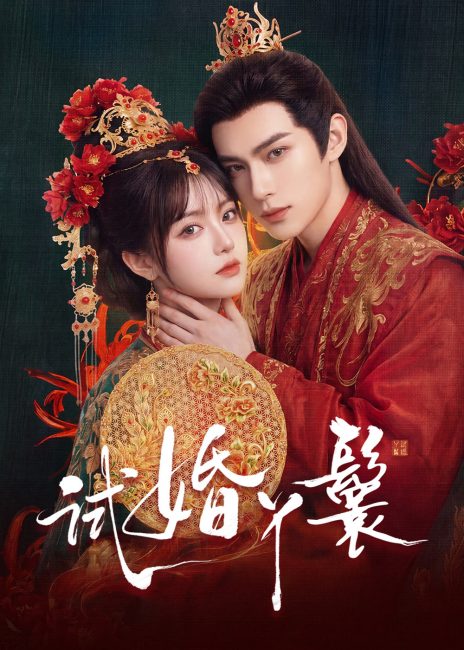 مشاهدة مسلسل خادمة المحاكمة The Trial Handmaiden الحلقة 14 مترجمة
