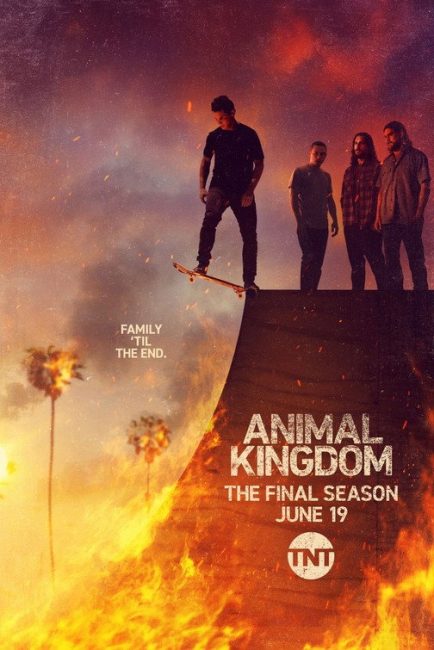 مشاهدة مسلسل Animal Kingdom الموسم السادس الحلقة 6 مترجمة