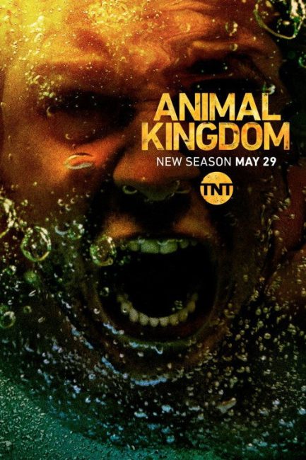 مشاهدة مسلسل Animal Kingdom الموسم الثالث الحلقة 11 مترجمة