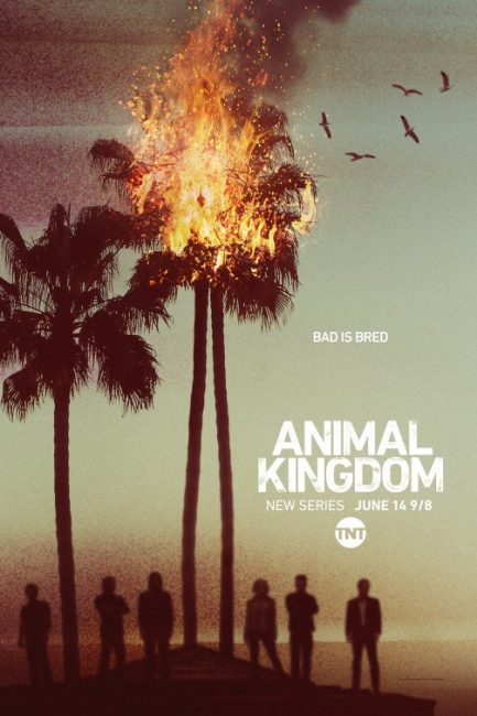 مشاهدة مسلسل Animal Kingdom الموسم الاول الحلقة 8 مترجمة