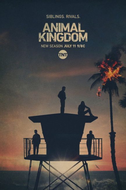 مشاهدة مسلسل Animal Kingdom الموسم الخامس الحلقة 1 مترجمة