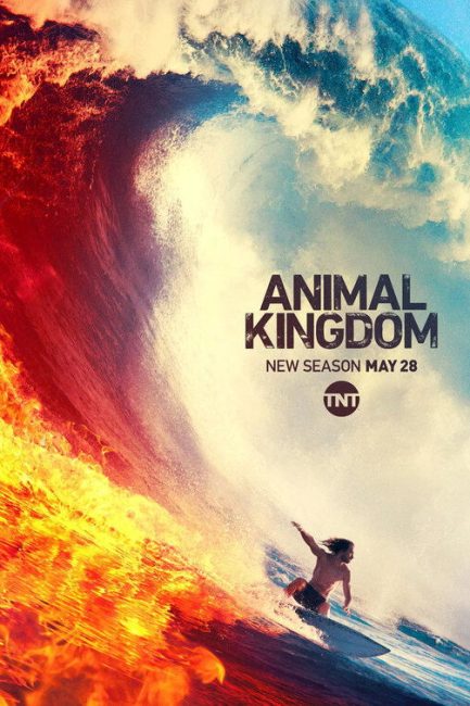 مشاهدة مسلسل Animal Kingdom الموسم الرابع الحلقة 13 والاخيرة مترجمة